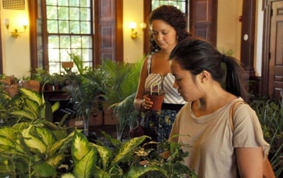 Cover image for Plants and Flowers: Dorm-Suitable Flora