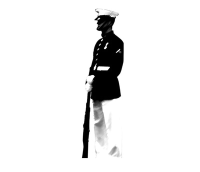 Cover image for marine