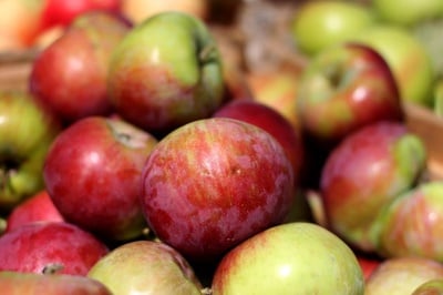 Cover image for An Apple A Day?