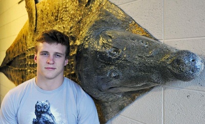 Cover image for Dorm Room Art