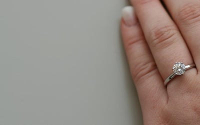 Cover image for Being Engaged at Harvard