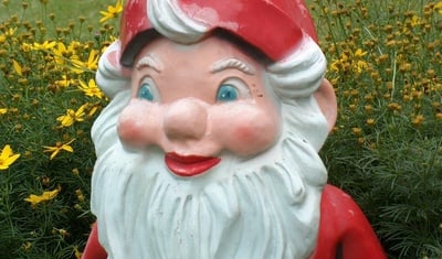Cover image for Gnome Sweet Gnome