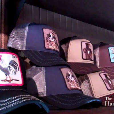 Cover image for Harvard's Bold Hatmakers