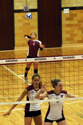 Cover image for volleyball