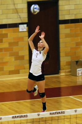Cover image for volleyball