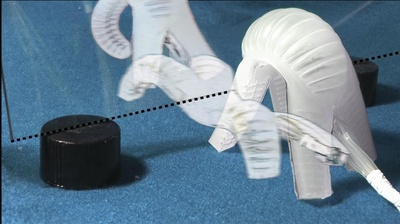 Cover image for Robot Mimics Squid Movement