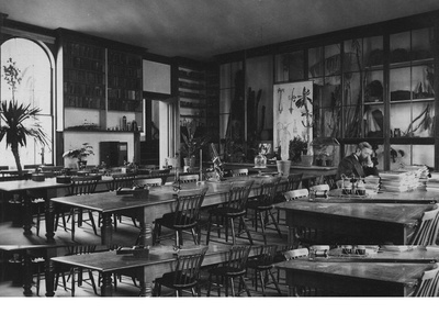 Cover image for In Modern Research, A Botanist’s Legacy