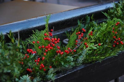 Cover image for How To: Celebrate the Holidays in Your Dorm Room