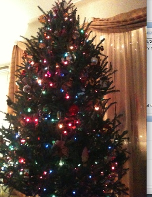 Cover image for The Tree