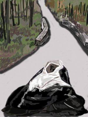 Cover image for The Calling of Disorder