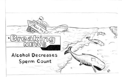 Cover image for 