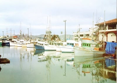 Cover image for 