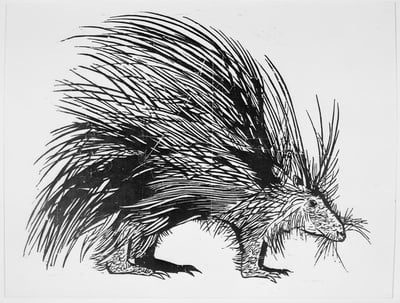 Cover image for 