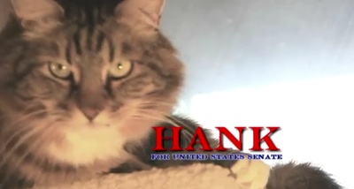 Cover image for Valley Girl Twang, Hank the Cat, and Other Topics Worth Discussing