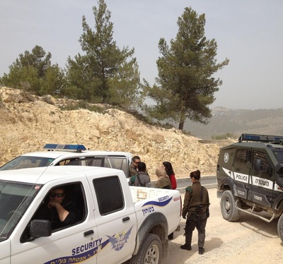 Cover image for Students Dispute Israel Detainment