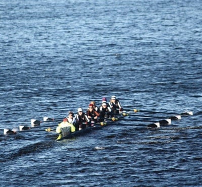 Cover image for 