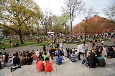 Cover image for Yardfest Gathering