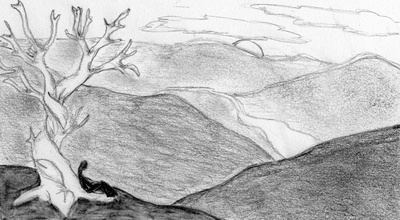 Cover image for 