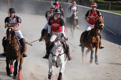 Cover image for Alumni Victory over Seniors Highlights Harvard Polo Renaissance Weekend