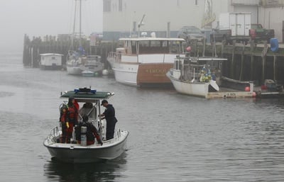 Cover image for Searching For Bihlmaier.
