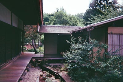 Cover image for 