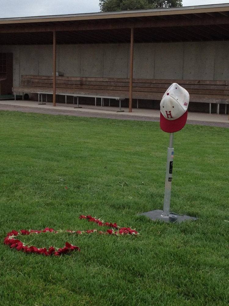 Rose pedals in the shape of Walsh's number two are laid out on the Harvard baseball field.