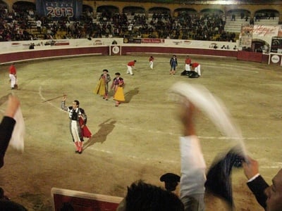 Cover image for 