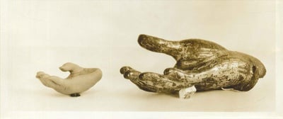 Cover image for Harvard Archives Gets Digital Upgrade