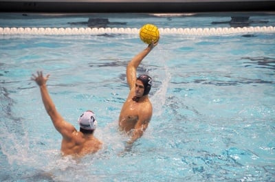 Cover image for In Home Opening Weekend, Harvard Takes Two of Three