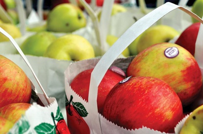 Cover image for An Apple a Day