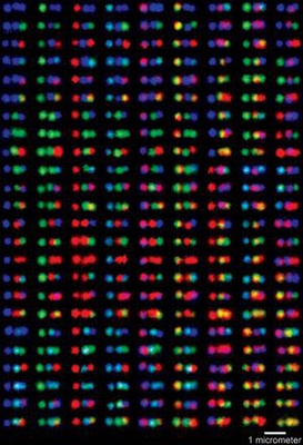 Cover image for 
