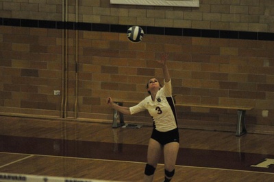 Cover image for After Topping Brown, Women's Volleyball Drops 3-0 Contest Against Yale