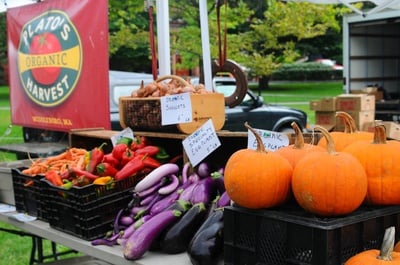 Cover image for Plato's Organic Harvest