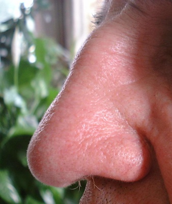 Cover image for An Olfactory Journey Through Harvard Square