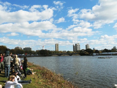 Cover image for 