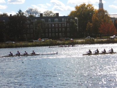 Cover image for 