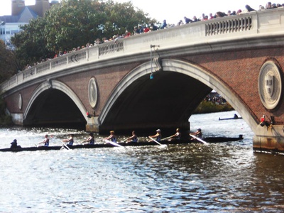 Cover image for 