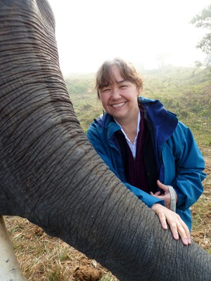 Cover image for Naomi Pierce