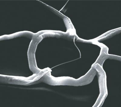 Cover image for ‘Cyborg Tissue’ Created