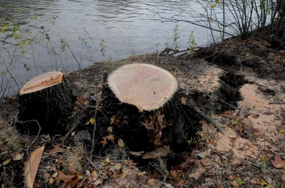 Cover image for Sandy Debris