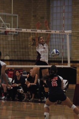 Cover image for Women's Volleyball Splits Season's Final Weekend