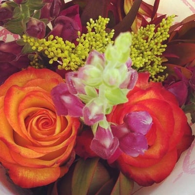 Cover image for 