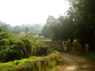 Cover image for WWOOF, There It Is