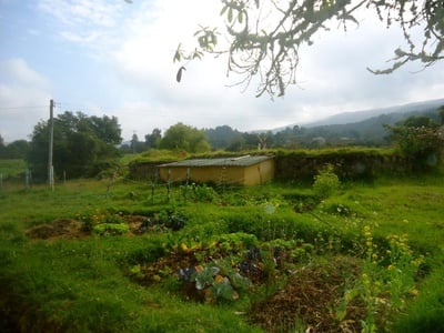 Cover image for 