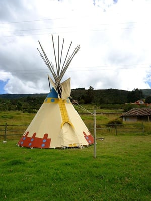 Cover image for 