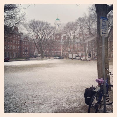Cover image for Crowdsourcing the Blizzard