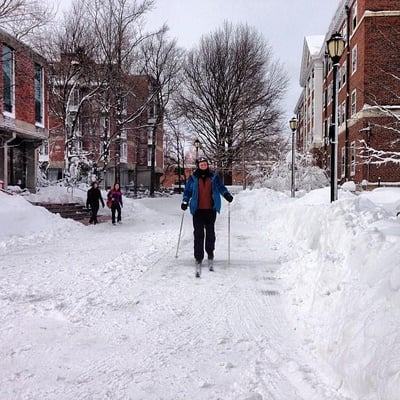 Cover image for How to Waste Away Your Snow Day