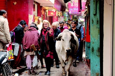 Cover image for Student and Faculty Researchers Reflect on Trip to Hindu Festival