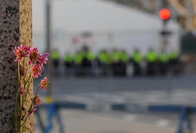 Cover image for Flowers
