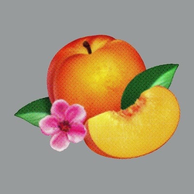 Cover image for Phoenix's New Release Emotionally "Bankrupt!"